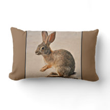 Sonoranのバニーの腰神経のアクセントの枕を祈ること