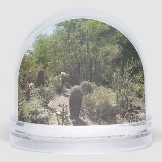 Sonoran Desert Snow Globe (正面)