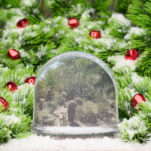 Sonoran Desert Snow Globe (クリスマス)