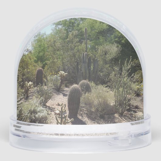 Sonoran Desert Snow Globe (裏面)