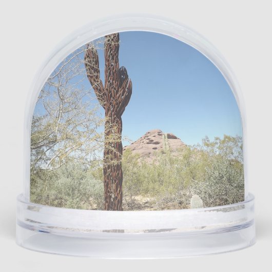 Sonoran Desert Snow Globe (正面)