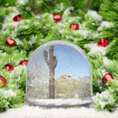 Sonoran Desert Snow Globe (クリスマス)