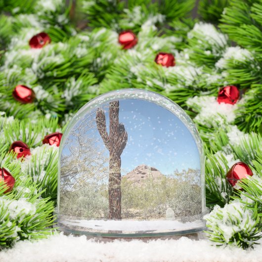 Sonoran Desert Snow Globe (クリスマス)