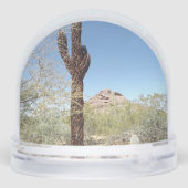 Sonoran Desert Snow Globe (裏面)