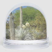 Sonoran Desert Snow Globe (正面)