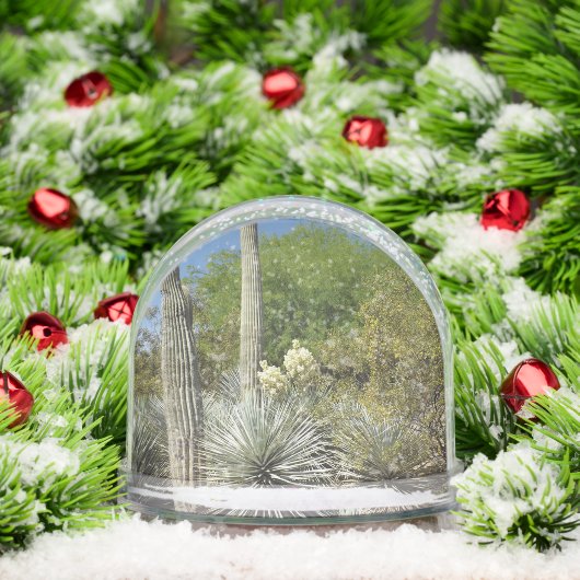 Sonoran Desert Snow Globe (クリスマス)