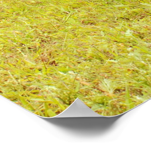 Sons Of Anarchy Motorcycle shoot! ポスター (角)