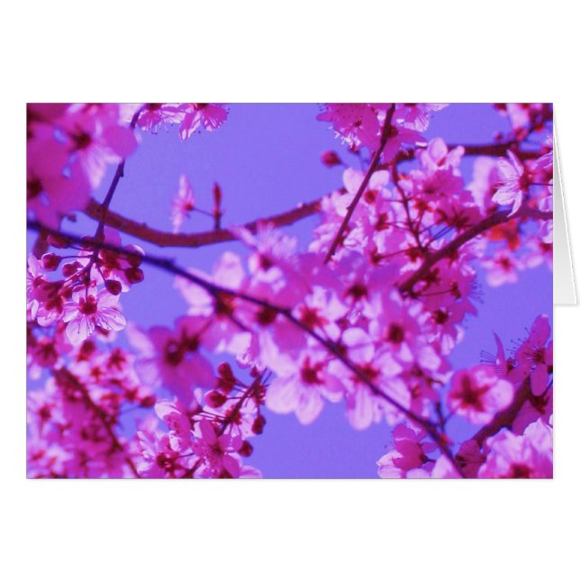 Sophieカードテンプレート (正面横)