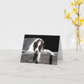 "Sophie" – 英語ポインターカード カード (黄色い花)