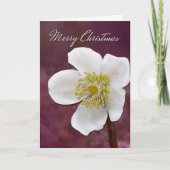 Sophisticated High-Poly Winter Rose Art Christmas カード (正面)