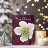 Sophisticated High-Poly Winter Rose Art Christmas カード