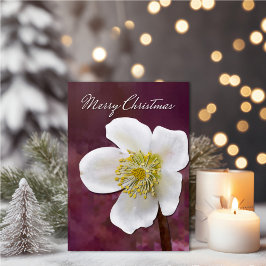 Sophisticated High-Poly Winter Rose Art Christmas カード