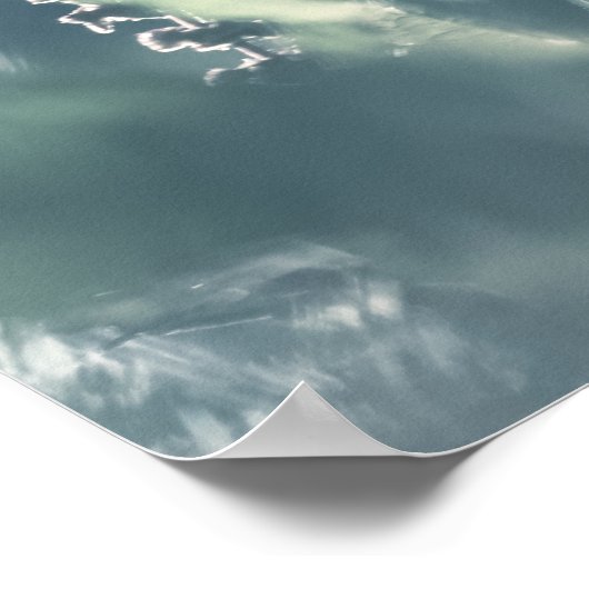 Sorrel植物自然写真 ポスター (角)