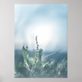 Sorrel植物自然写真 ポスター (正面)