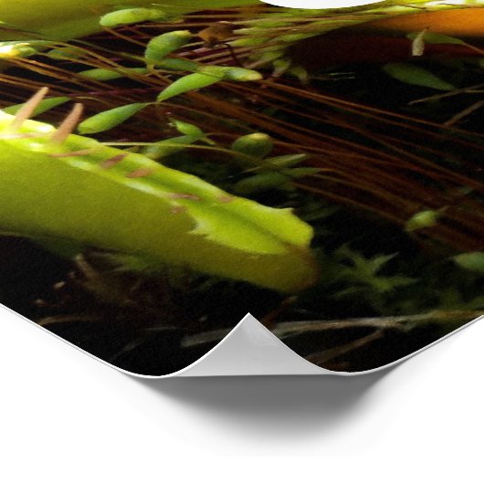 Sorry about our date. ポスター (角)