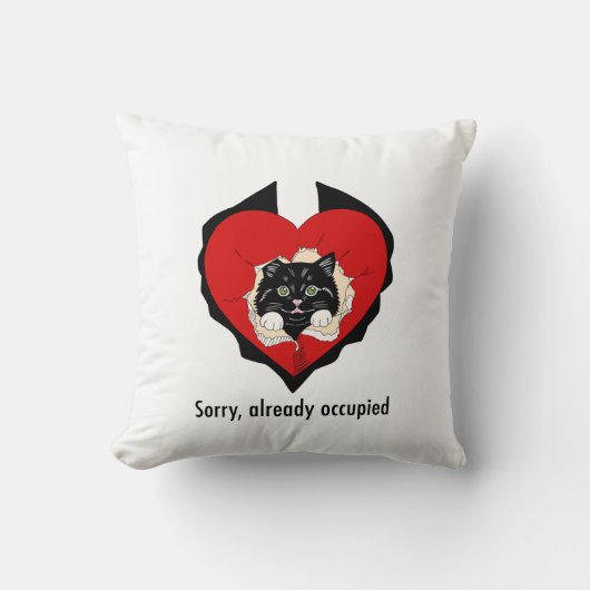 Sorry, already occupied クッション (正面)