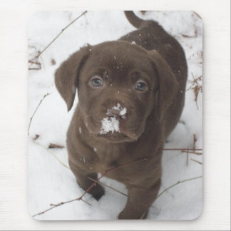 Sosa Lakota マウスパッド