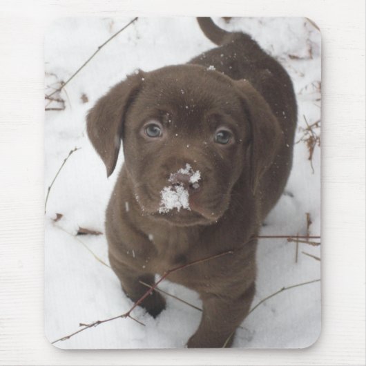 Sosa Lakota マウスパッド (正面)