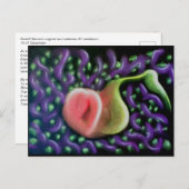 Soul 37ポストカードのカレンダー ポストカード (正面/裏面)