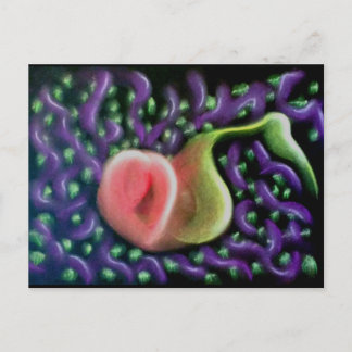 Soul 37ポストカードのカレンダー ポストカード