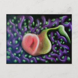 Soul 37ポストカードのカレンダー ポストカード