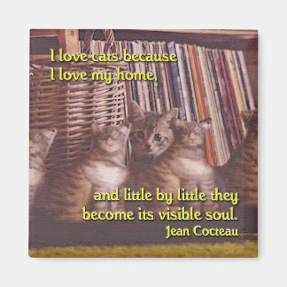 Soul of a home cat magnet マグネット