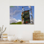 SOULCLIPSE FESTIVAL 2006 (TURKEY) Poster ポスター (キッチン)