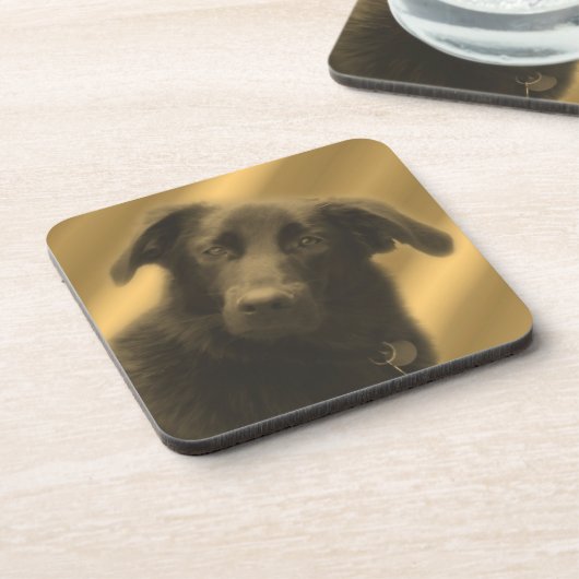 Soulful Dog Eyes Animal Coaster Set コースター (左側)
