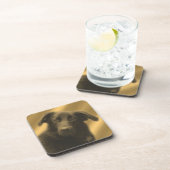 Soulful Dog Eyes Animal Coaster Set コースター (右側)