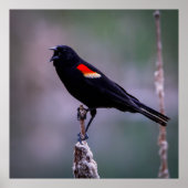 Sound Off ポスター (正面)