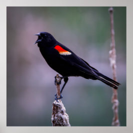 Sound Off ポスター