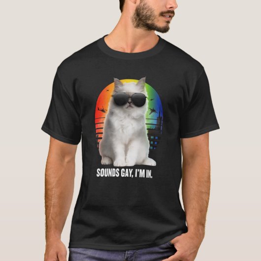 Sounds Gay I'm In Rainbow Cat Gay Pride Sunset Ret Tシャツ (正面)