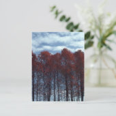 Sourwoodの木の郵便はがき ポストカード (スタンド正面)
