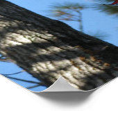 Sourwood Leaves in Autumn ポスター (角)