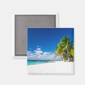 Sous le soleil des tropiques マグネット (正面/裏面)