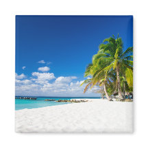 Sous le soleil des tropiques