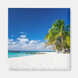 Sous le soleil des tropiques マグネット