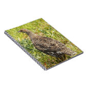 Sout Grouse Wildlife写真 ノートブック (右側)