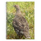Sout Grouse Wildlife写真 ノートブック (正面)
