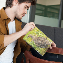 Sout Grouse Wildlife写真