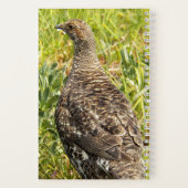 Sout Grouse Wildlife写真 ノートブック (裏面)