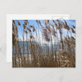 South 素晴らし Bay at Blue Point, NY ポストカード (正面/裏面)