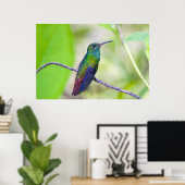 South America, Costa Rica, Sarapiqui, La Selva ポスター (ホームオフィス)