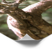 South America, Ecuador, Amazon. Ocelot ポスター (角)