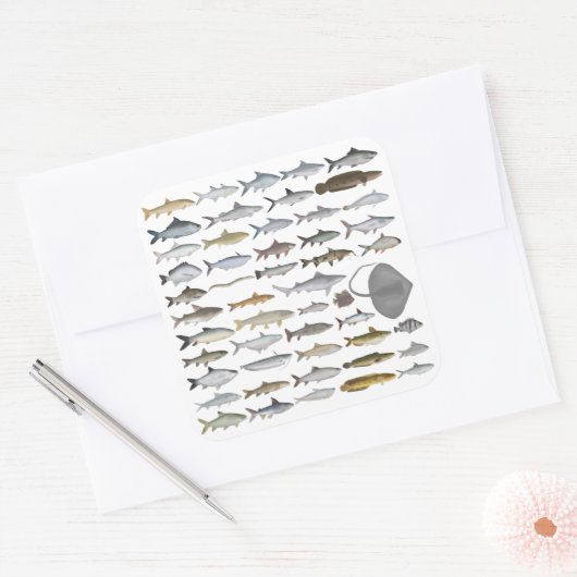 South Asia Freshwater Fish Group スクエアシール (封筒)