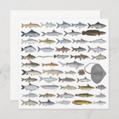 South Asia Freshwater Fish Group ノートカード (正面/裏面)