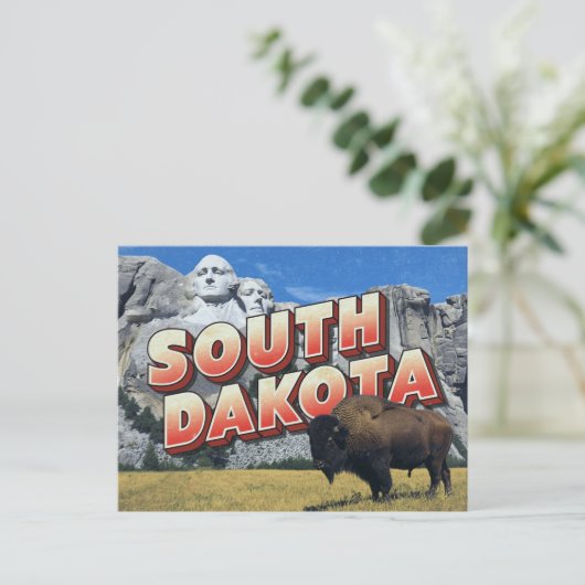 South Dakota Mount Rushmore Bison ポストカード (スタンド正面)