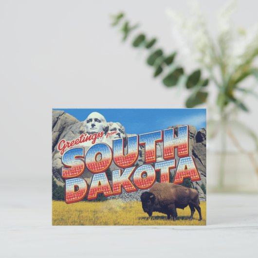 South Dakota Mount Rushmore Bison ポストカード (スタンド正面)