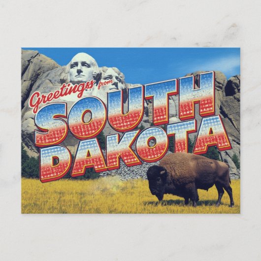 South Dakota Mount Rushmore Bison ポストカード (正面)