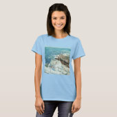 South Ledges, Frederick Childe HasssamによるAppledore Tシャツ (正面フル)
